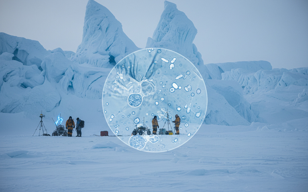 Арктические микробы меняют климат: как фиксация азота влияет на глобальное потепление