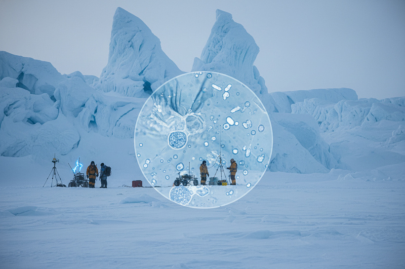 Арктические микробы меняют климат: как фиксация азота влияет на глобальное потепление