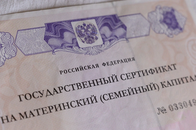 В 2026 году семьи с детьми смогут оформить единое пособие, маткапитал и новую ежегодную налоговую выплату