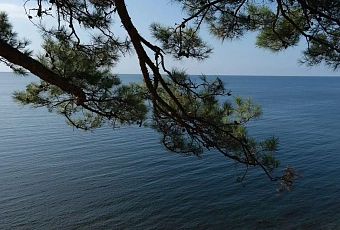 Какая температура Черного моря на пляжах в Краснодарском крае