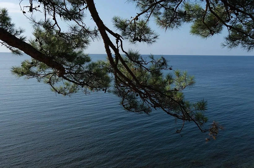Какая температура Черного моря на пляжах в Краснодарском крае