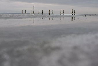 Ученые объяснили, чем грозит ледостав в Азовском море его рыбам и экосистеме