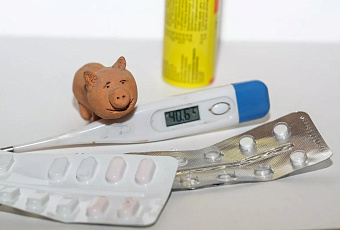 На Кубани за неделю выявили 3821 случай ОРВИ, 910 из них — грипп