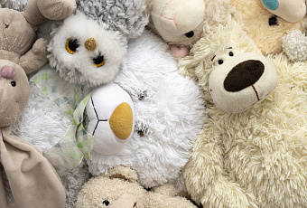 Игрушечный SPA-день: как вернуть плюшевым друзьям свежесть и чистоту