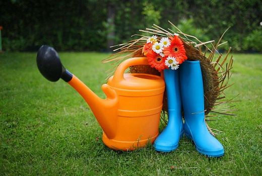 Чтобы дача была в радость: как подготовиться к поездке за город