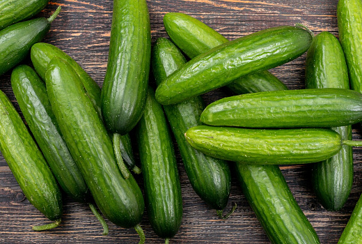 В Краснодаре уничтожили партию зараженных огурцов из Ирана объемом 17,6 тонны