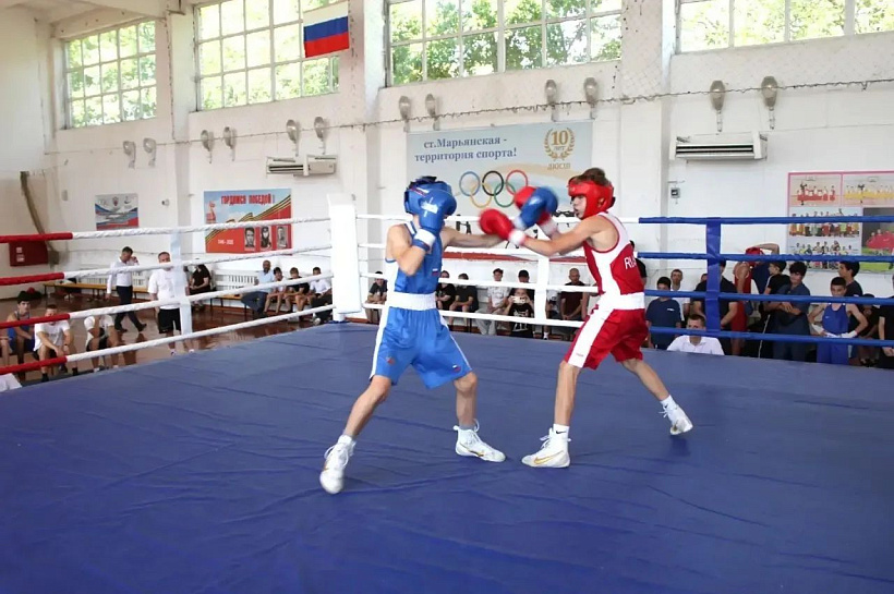 145 юных боксёров Кубани боролись за призы чемпионки мира в Красноармейском районе