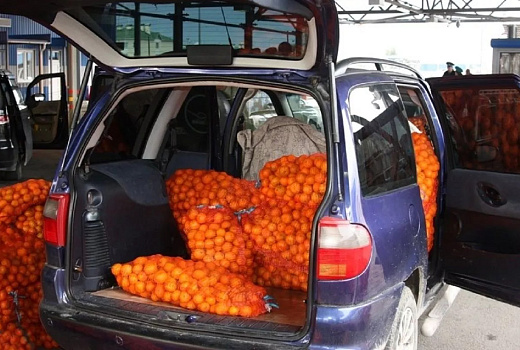 Более 5 тысяч тонн мандаринов ввезли в Россию из Абхазии через Сочи
