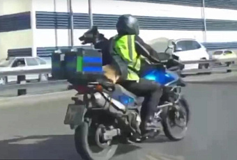 Пушистый байкер прокатился по улицам Москвы и попал на видео