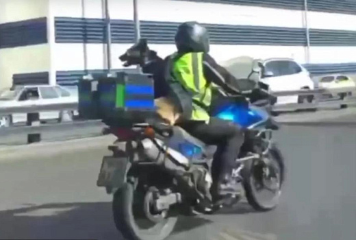 Пушистый байкер прокатился по улицам Москвы и попал на видео