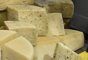 Врач Сластен: кому нельзя есть сыр при непереносимости лактозы и болезнях печени