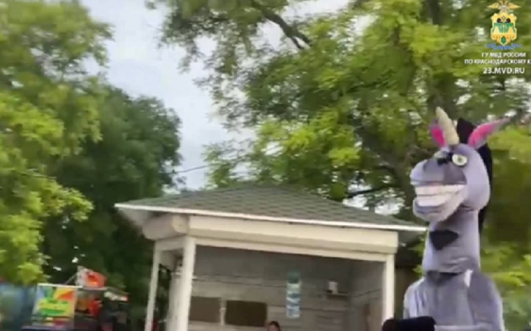 На набережной в Ейске полиция задержала аниматора в костюме коня
