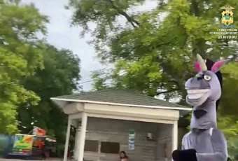 На набережной в Ейске полиция задержала аниматора в костюме коня