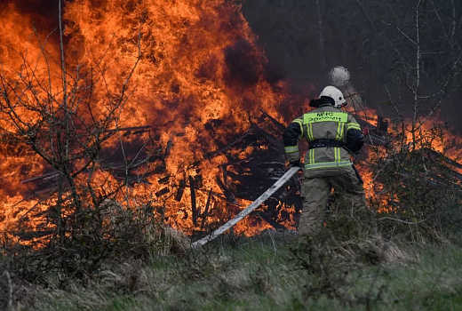 Лесной пожар на площади два гектара тушат под Геленджиком