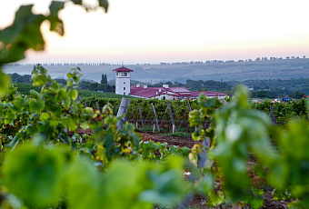 Винный туризм на Кубани: куда съездить, что посмотреть и попробовать