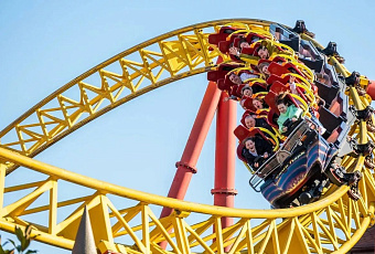 «Сочи Парк» признали лучшим тематическим парком России в 2025 году