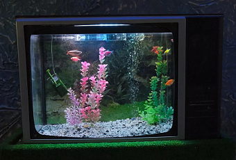 39% жителей Краснодара полностью отказались от просмотра телевизора