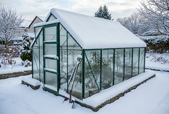 Безопасная уборка снега: как защитить теплицу, растения и дорожки зимой