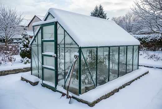 Безопасная уборка снега: как защитить теплицу, растения и дорожки зимой