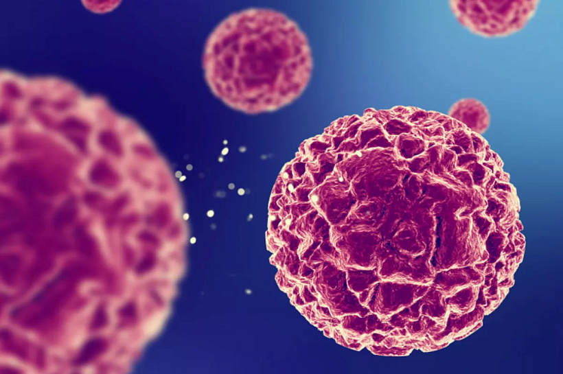 В ядрах раковых клеток нашли «митохондрических шпионов» — открытие поможет в диагностике опухолей