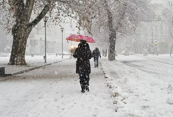 Теплая зима на юге России: январь и февраль с температурой выше нормы