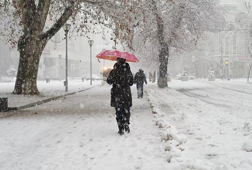 Теплая зима на юге России: январь и февраль с температурой выше нормы