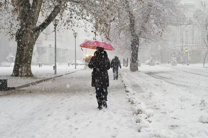 Теплая зима на юге России: январь и февраль с температурой выше нормы