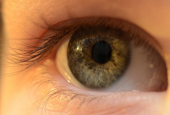  В России разработали импланты для зрения и слуха на основе нанотехнологий