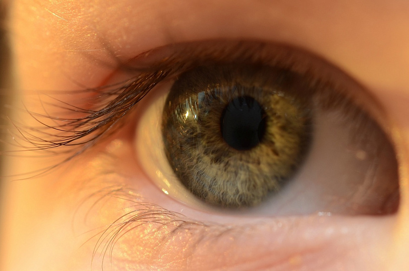  В России разработали импланты для зрения и слуха на основе нанотехнологий