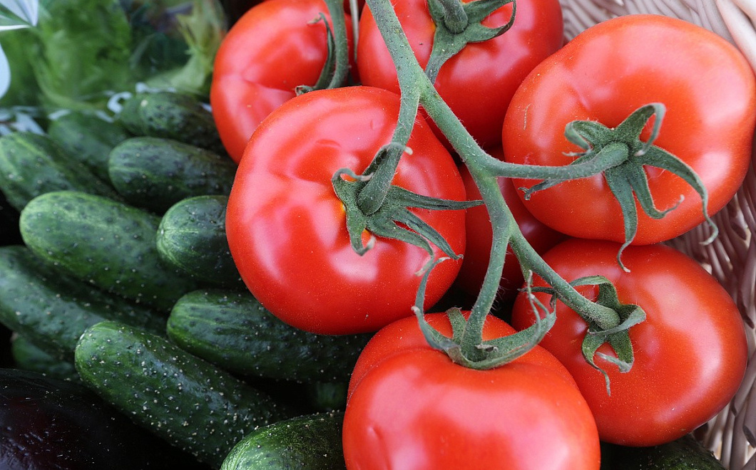 ТОП-7 эффективных средств для борьбы с вредителями сада и огорода