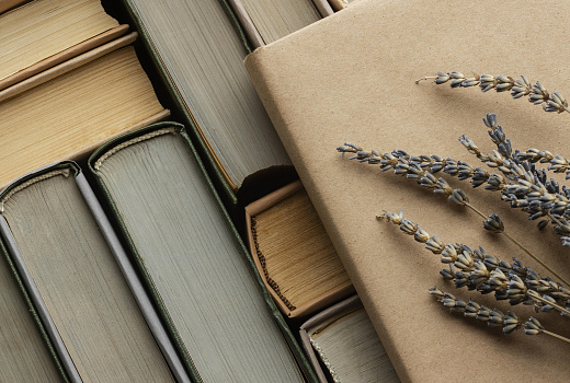 Неприятный запах от старинных книг: как от него избавиться