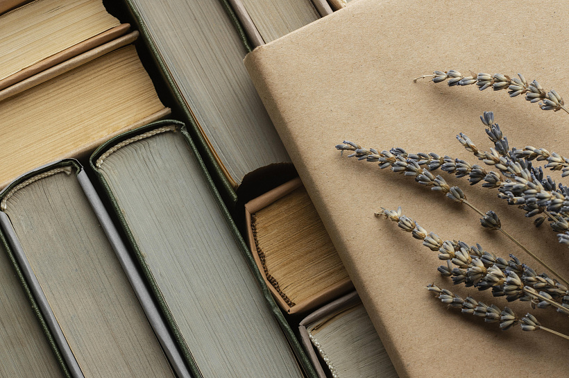 Неприятный запах от старинных книг: как от него избавиться