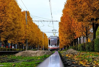 На Кубани сохранится сухая и умеренно морозная погода в рамках климатической нормы