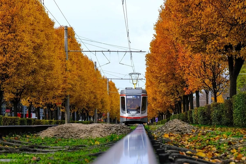 На Кубани сохранится сухая и умеренно морозная погода в рамках климатической нормы