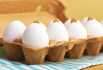 Аллергия на яйца причины и профилактика: как научится  жить в гармонии