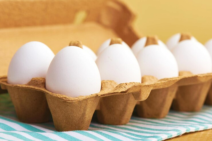 Аллергия на яйца причины и профилактика: как научится  жить в гармонии