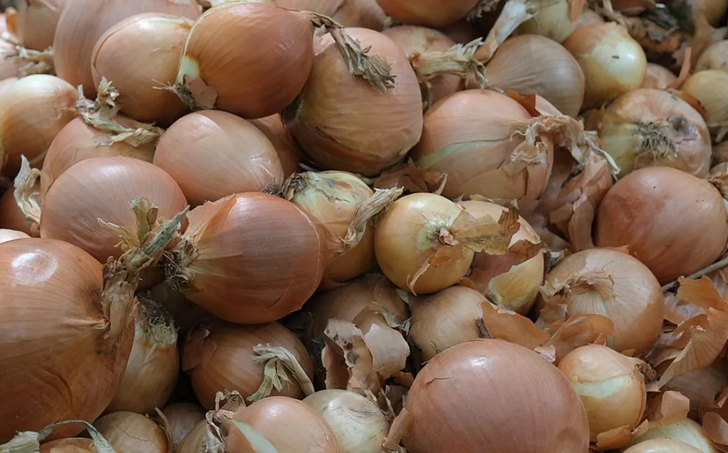 Более 700 тысяч тонн овощей из Египта и Турции ввезли через Кубань