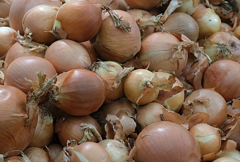 Более 700 тысяч тонн овощей из Египта и Турции ввезли через Кубань