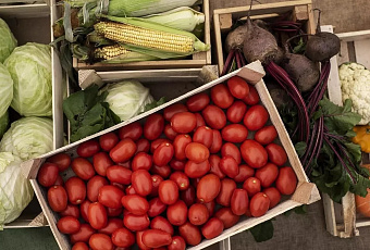 Россия нарастила экспорт продовольствия в Алжир почти в полтора раза