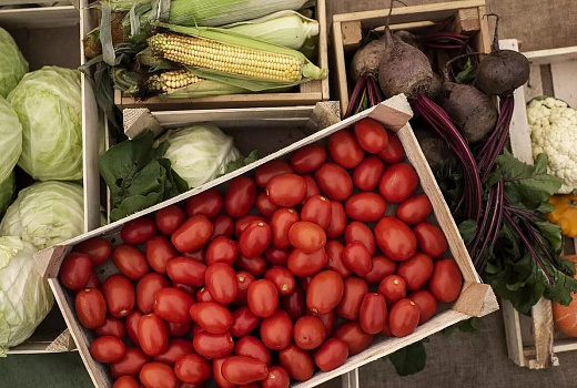 Россия нарастила экспорт продовольствия в Алжир почти в полтора раза