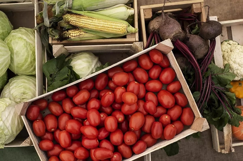 Россия нарастила экспорт продовольствия в Алжир почти в полтора раза