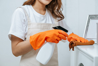 Рыжие соседи, о которых хочется забыть: как избавиться от тараканов