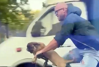 Пушистый гонщик: собаку за рулем велосипеда заметили на улицах Москвы