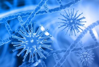 Учёные из России и Китая открыли новый бесцветный пигмент в бактерии