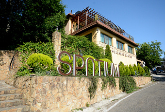 Вдохновение от природы: как натуральные продукты превратить в шедевр кулинарии