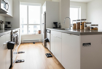 Пошаговый план эффективной борьбы с мышами в квартире