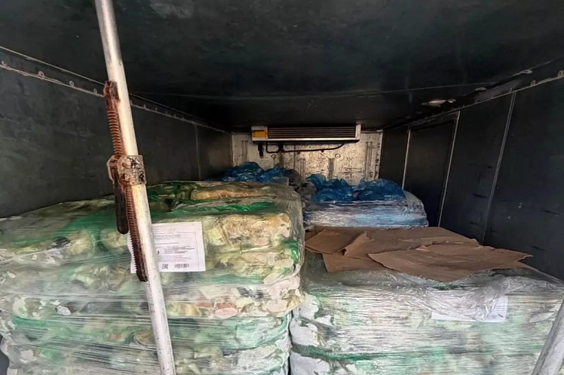 На Кубани пресекли перевозку 4,5 тонны рыбы без ветеринарных документов