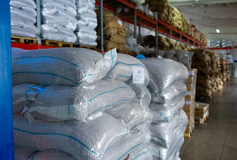 Названы самые высокооплачиваемые транспортные специальности на Кубани