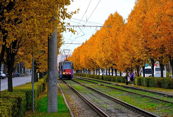 Аномальное тепло до +21°С сохранится в Краснодаре в выходные
