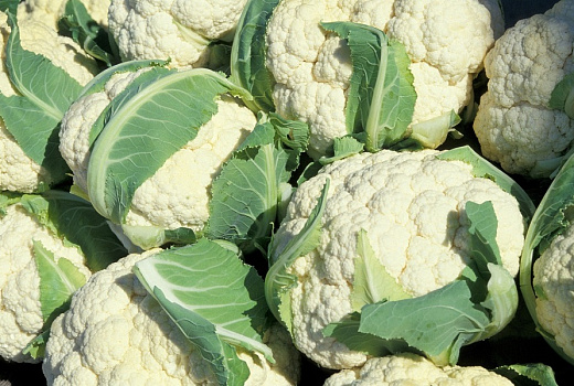 Продукты для поджелудочной железы: как избежать панкреатита